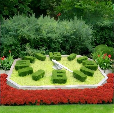 Relojes de arte floral en el jardín